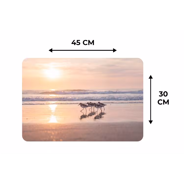 Placemat - 6 stuks - Zee - Vogels - Strand — 3
