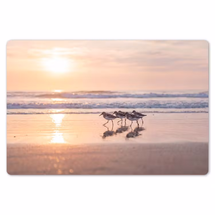 Placemat - 6 stuks - Zee - Vogels - Strand — 7