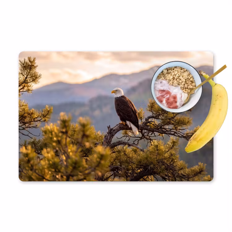 Placemat - 6 stuks - Zeearend - Boom - Bergen - Groen — 1