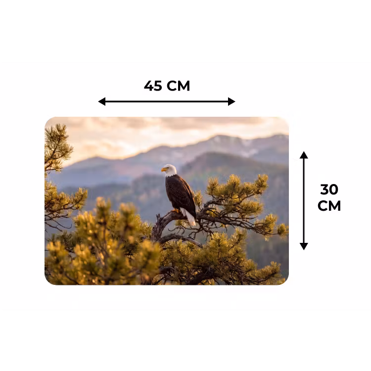 Placemat - 6 stuks - Zeearend - Boom - Bergen - Groen — 3
