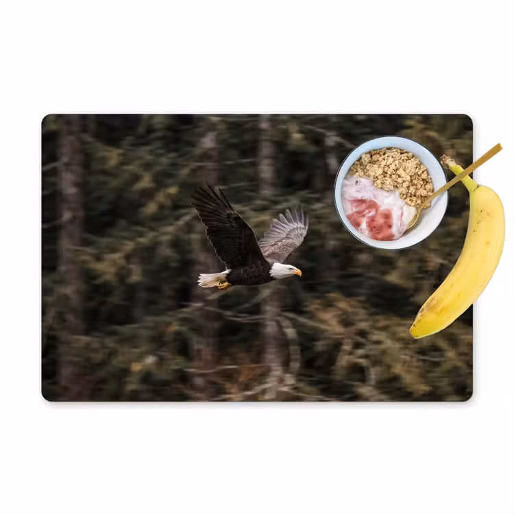 Placemat - 6 stuks - Zeearend - Vliegen - Bos - Natuur — 1