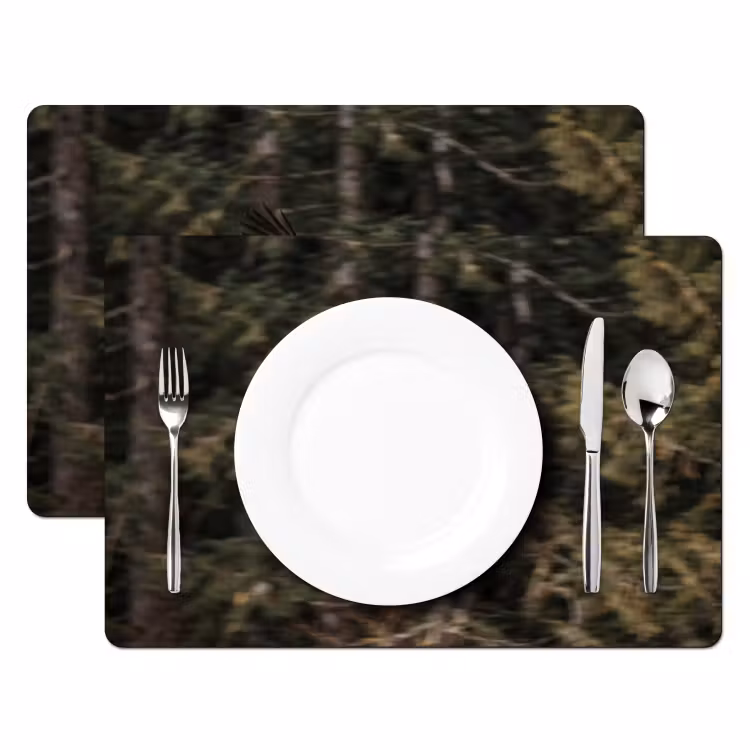 Placemat - 6 stuks - Zeearend - Vliegen - Bos - Natuur — 2