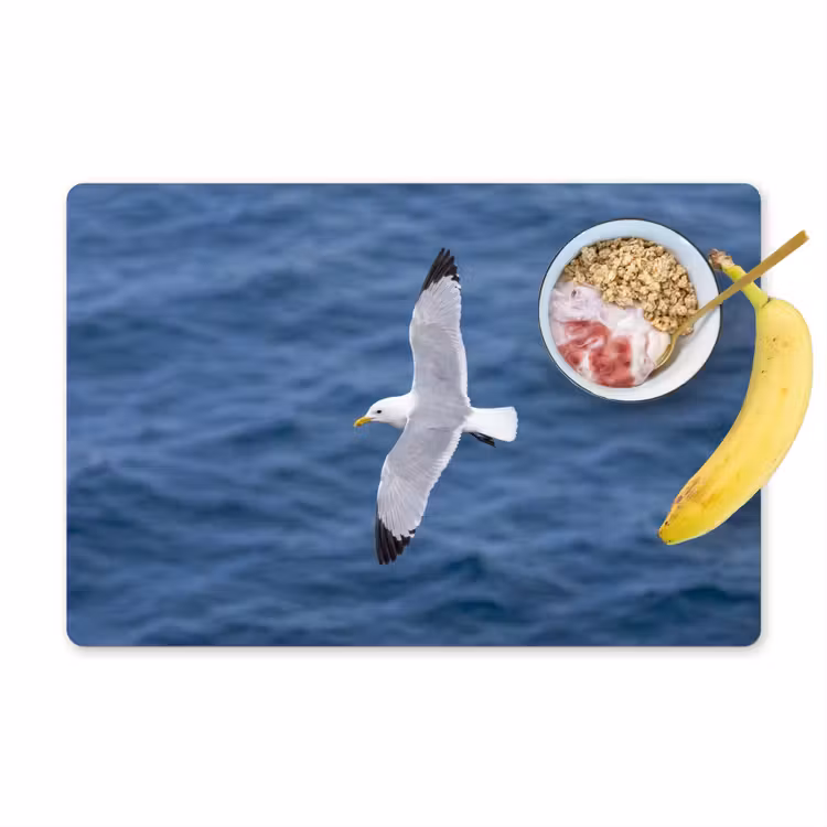 Placemat - 6 stuks - Zeemeeuw - Oceaan - Blauw — 1
