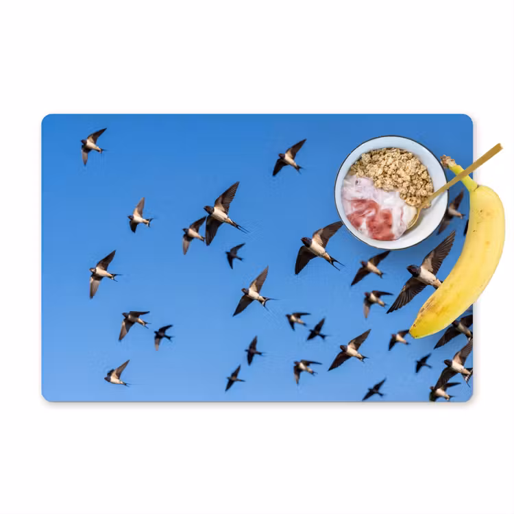Placemat - 6 stuks - Zwaluwen - Vliegen - Blauw — 1