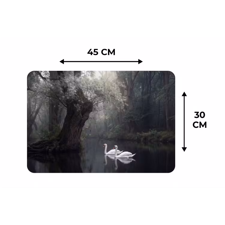 Placemat - 6 stuks - Zwanen - Rivier - Bos — 3