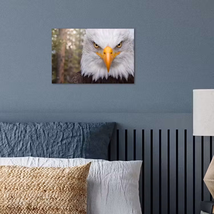 Poster - Amerikaans - Zeearend - Portret - Geel — 3