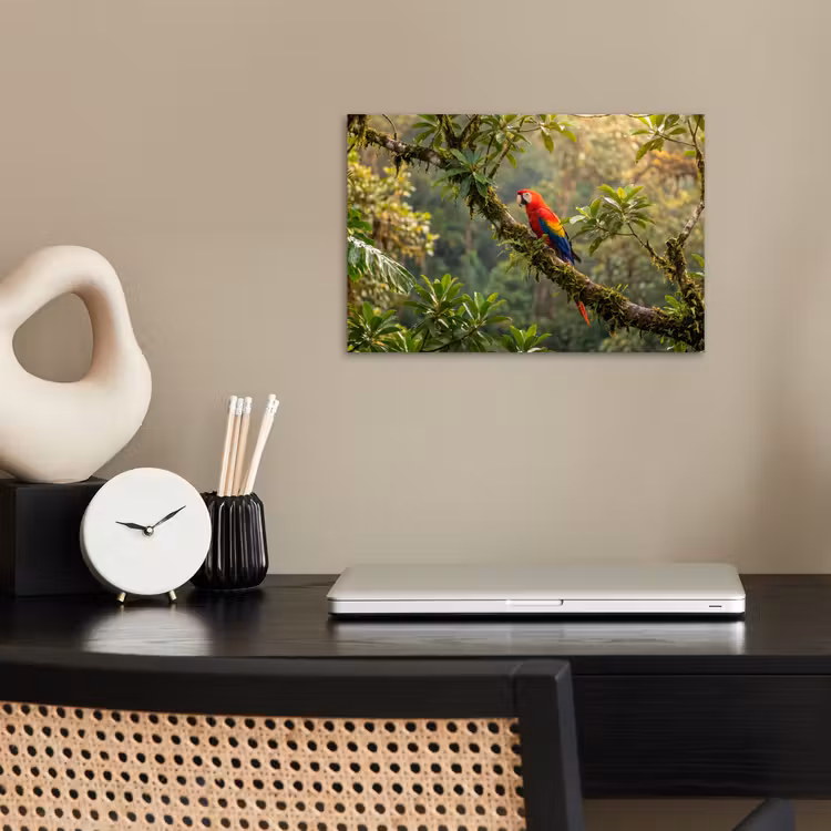 Poster - Ara - Jungle - Rood — 2