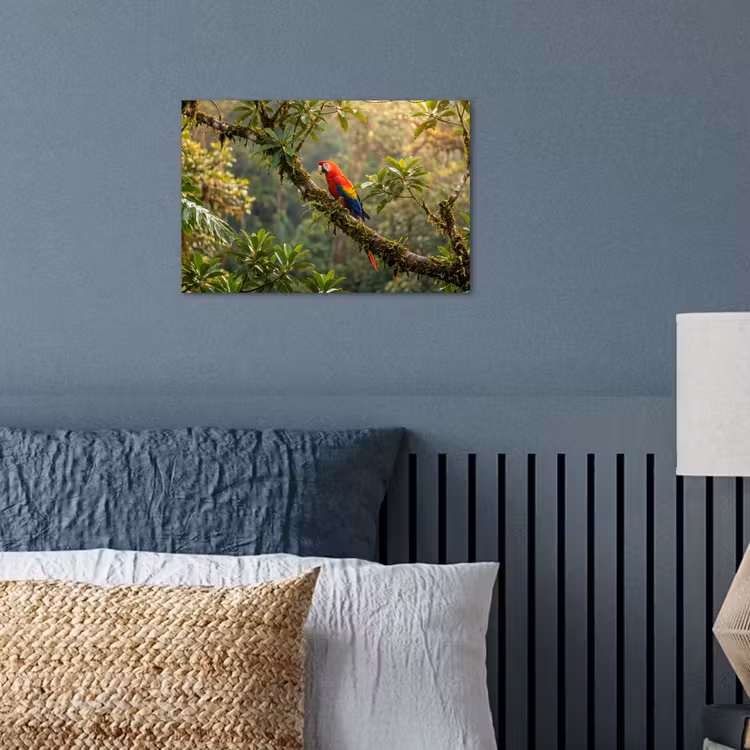 Poster - Ara - Jungle - Rood — 3