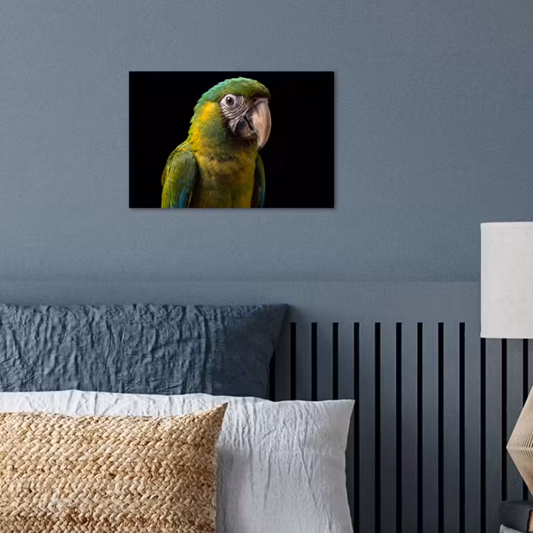 Poster - Ara - Portret - Groen — 3