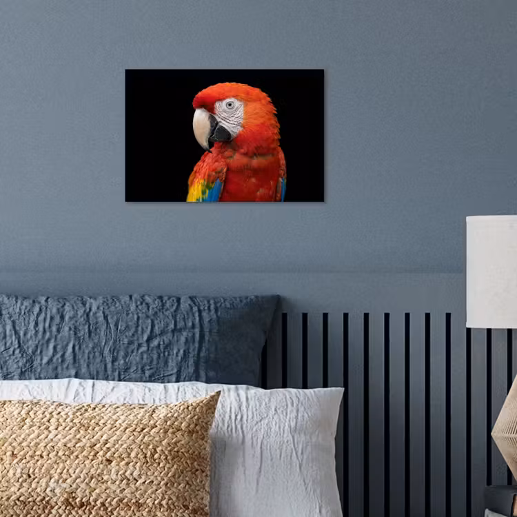 Poster - Ara - Portret - Rood — 3