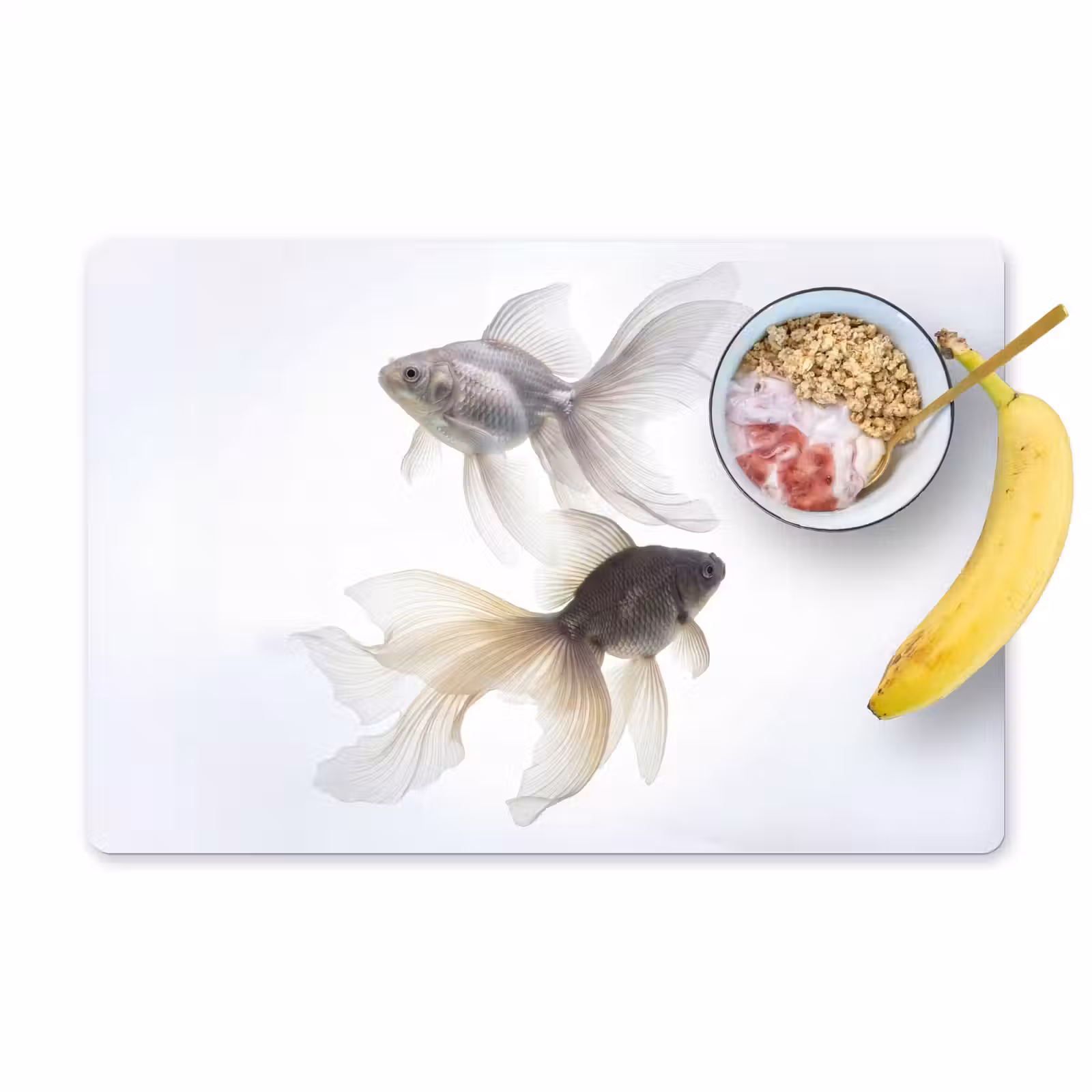 Placemat - 6 stuks - Goudvissen - Modern - Wit — 1