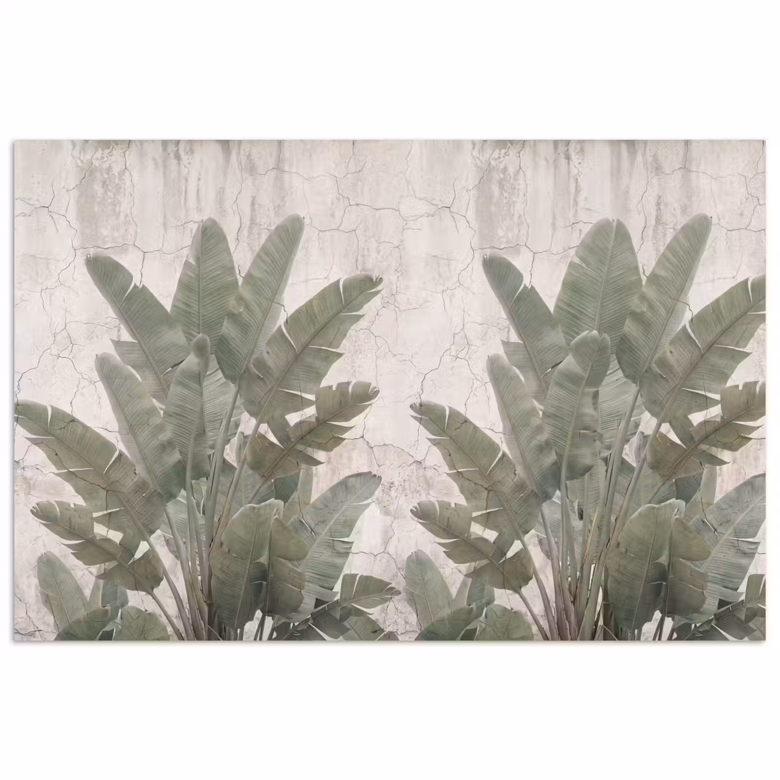 Poster - Bananenbladeren - Beton - Groen — 1