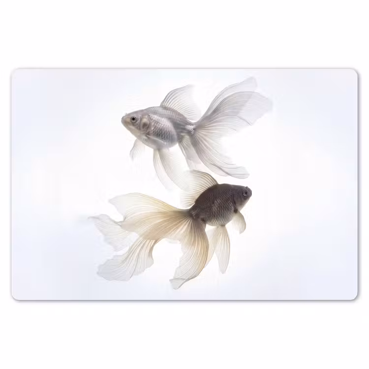 Placemat - 6 stuks - Goudvissen - Modern - Wit — 7