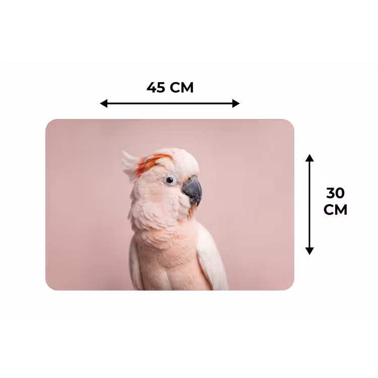 Placemat - 6 stuks - Kaketoe - Portret - Roze — 3
