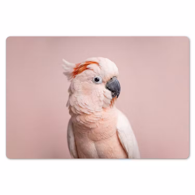 Placemat - 6 stuks - Kaketoe - Portret - Roze — 7