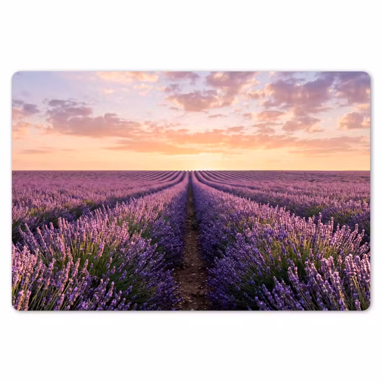 Placemat - 6 stuks - Landschap - Lavendelveld - Paars — 7