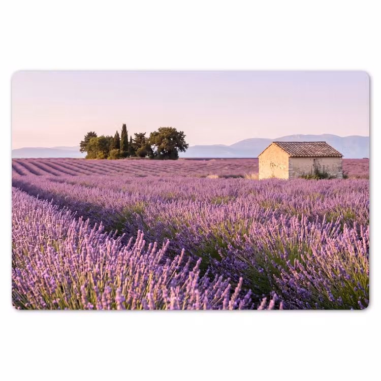 Placemat - 6 stuks - Lavendel - Landschap - Sereen - Paars — 7