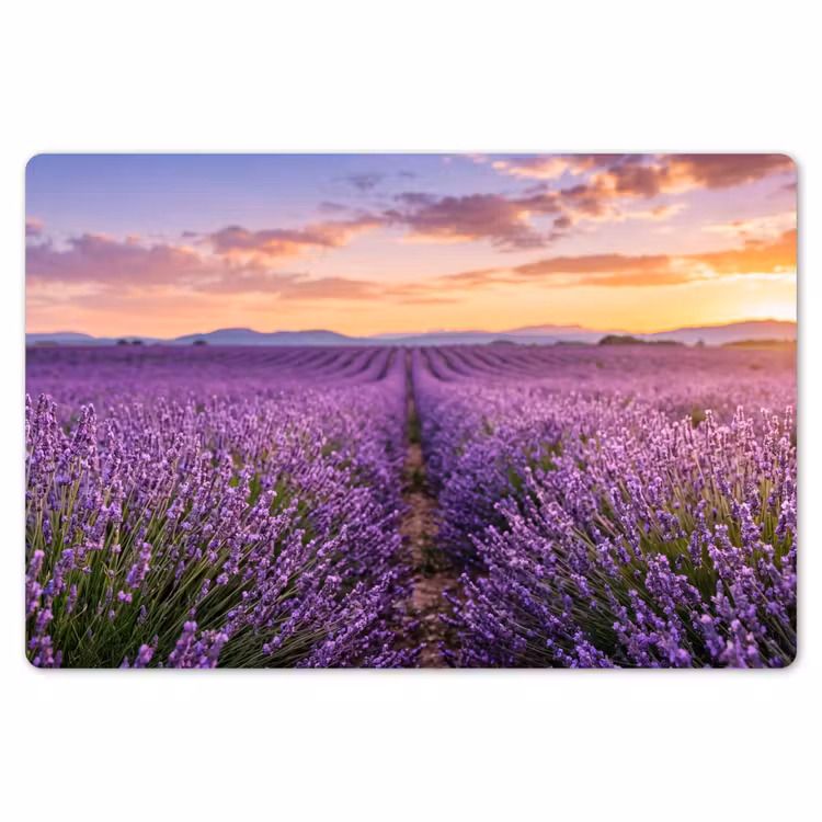 Placemat - 6 stuks - Lavendel - Veld - Natuur - Paars — 7