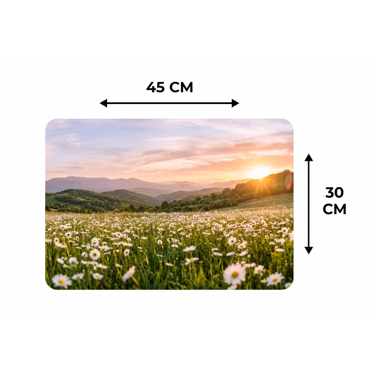 Placemat - 6 stuks - Madelief - Veld - Heuvels - Groen — 3