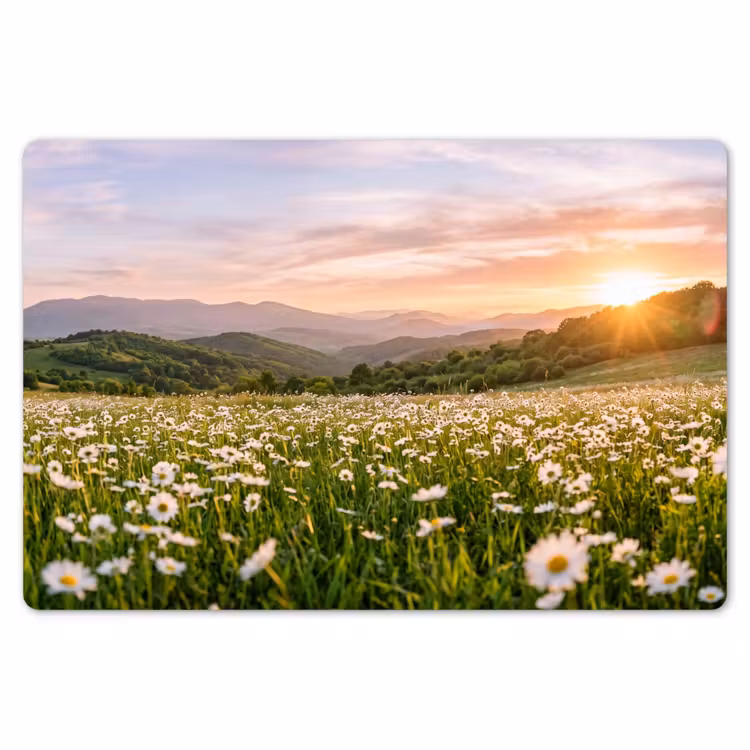 Placemat - 6 stuks - Madelief - Veld - Heuvels - Groen — 7