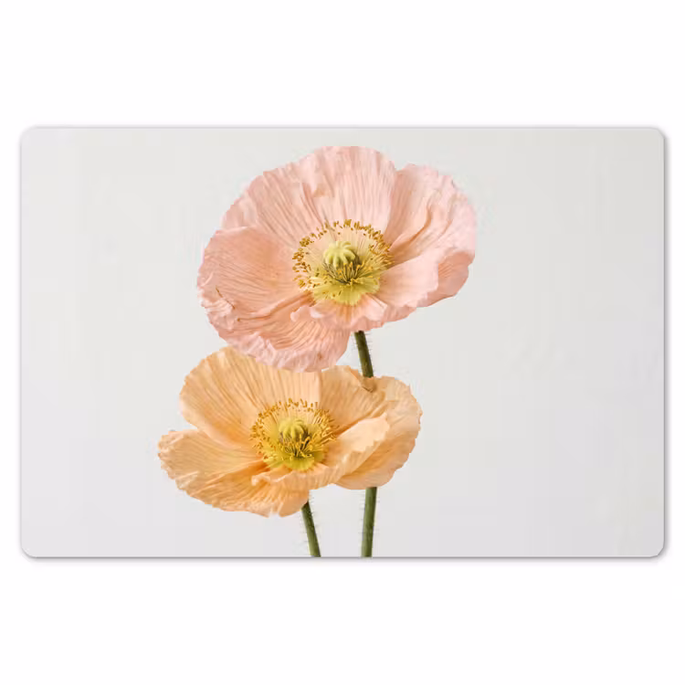 Placemat - 6 stuks - Papavers - Botanisch - Roze — 7