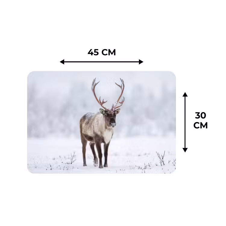 Placemat - 6 stuks - Rendier - Gewei - Toendra - Sneeuw - Wild — 3