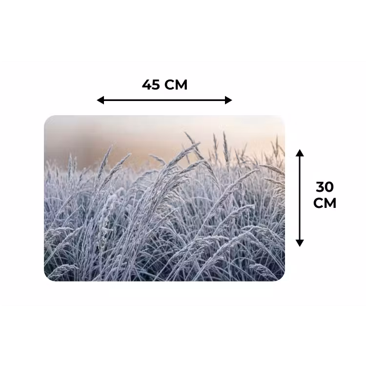 Placemat - 6 stuks - Rijp - Gras - Kristallen - Winter - Minimalistisch — 3