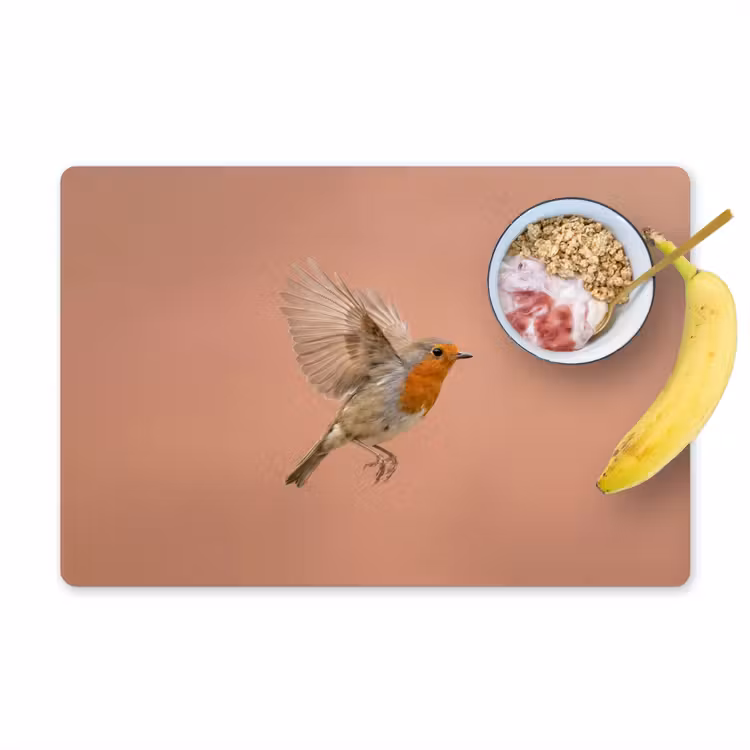 Placemat - 6 stuks - Roodborst - Natuur - Roze — 1