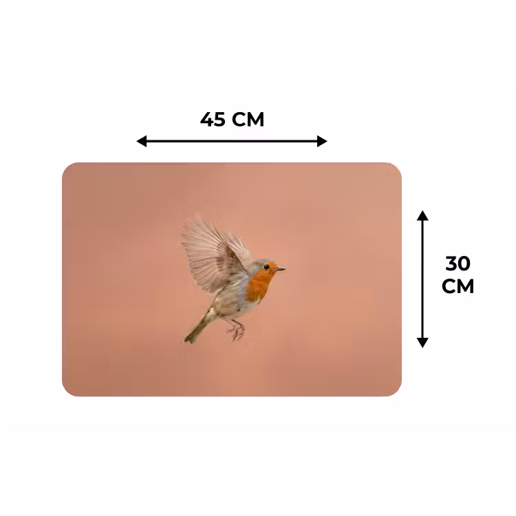 Placemat - 6 stuks - Roodborst - Natuur - Roze — 3