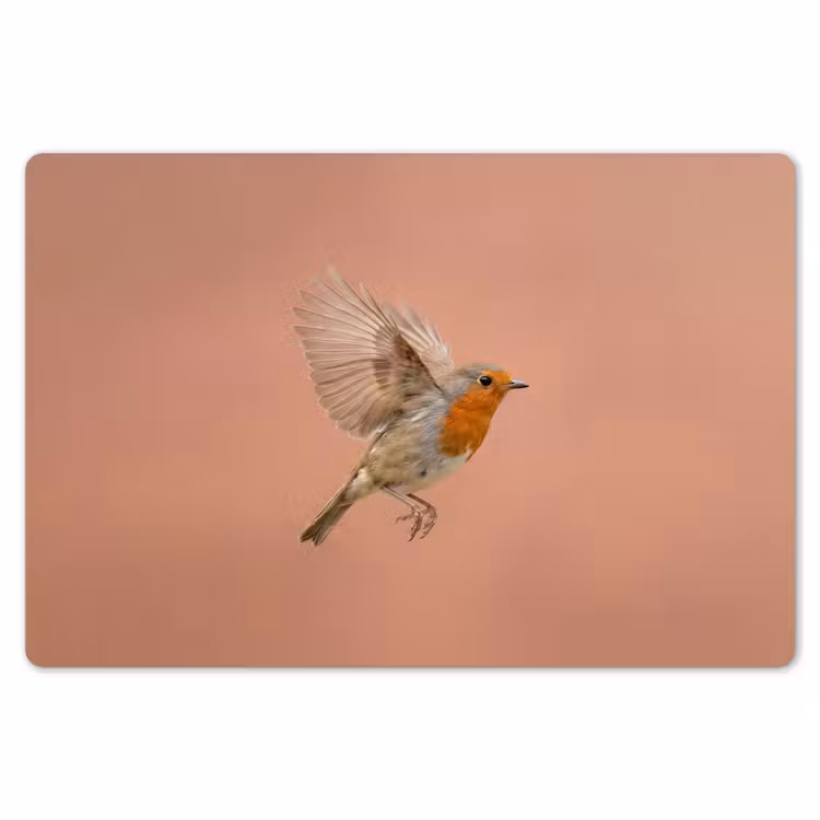Placemat - 6 stuks - Roodborst - Natuur - Roze — 7