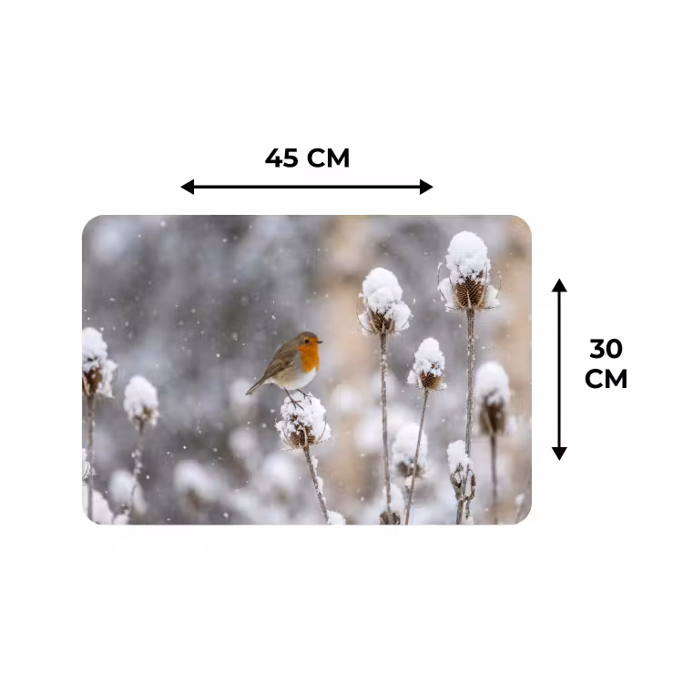 Placemat - 6 stuks - Roodborstje - Gedroogde bloem - Sneeuw - Winter - Vertederend — 3