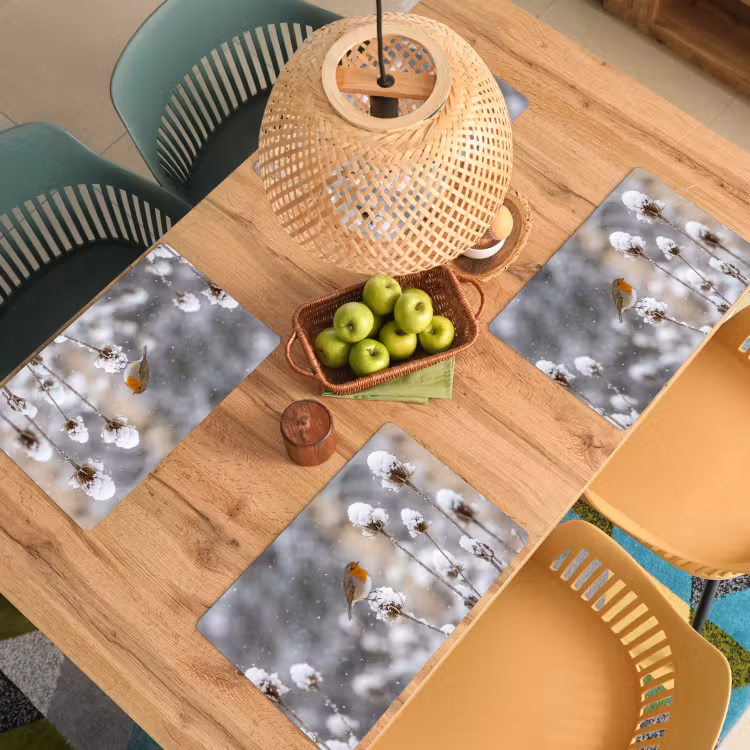 Placemat - 6 stuks - Roodborstje - Gedroogde bloem - Sneeuw - Winter - Vertederend — 6