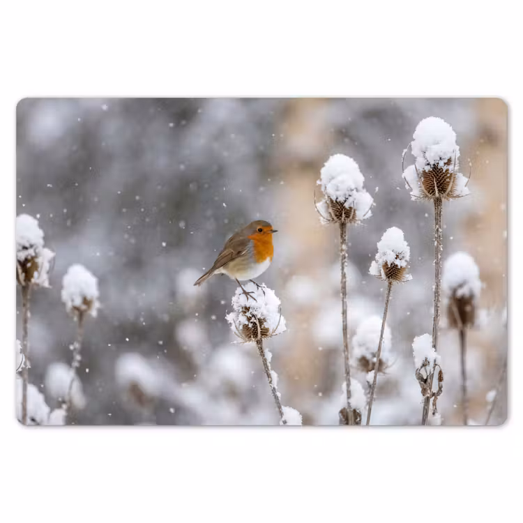 Placemat - 6 stuks - Roodborstje - Gedroogde bloem - Sneeuw - Winter - Vertederend — 7