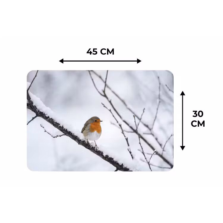 Placemat - 6 stuks - Roodborstje - Tak - Sneeuw - Winter - Levendig — 3