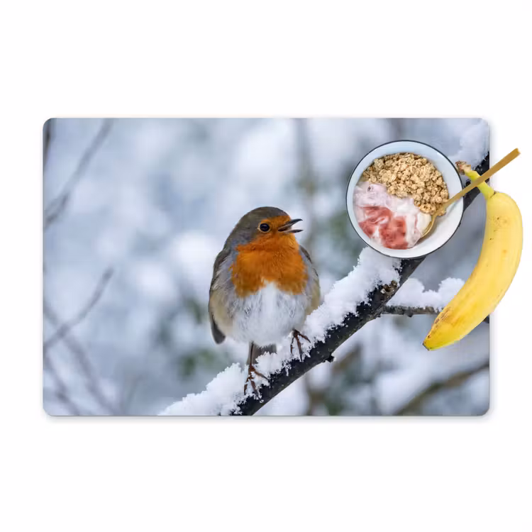 Placemat - 6 stuks - Roodborstje - Tak - Sneeuw - Winter - Levendig — 1