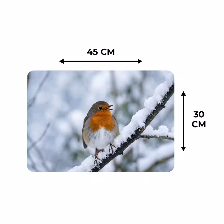 Placemat - 6 stuks - Roodborstje - Tak - Sneeuw - Winter - Levendig — 3