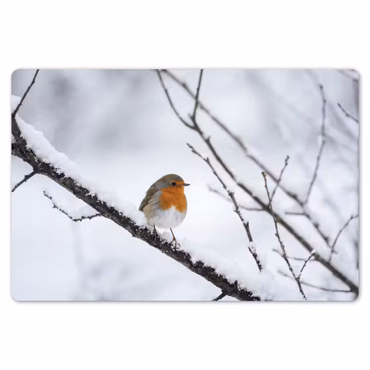 Placemat - 6 stuks - Roodborstje - Tak - Sneeuw - Winter - Levendig — 7