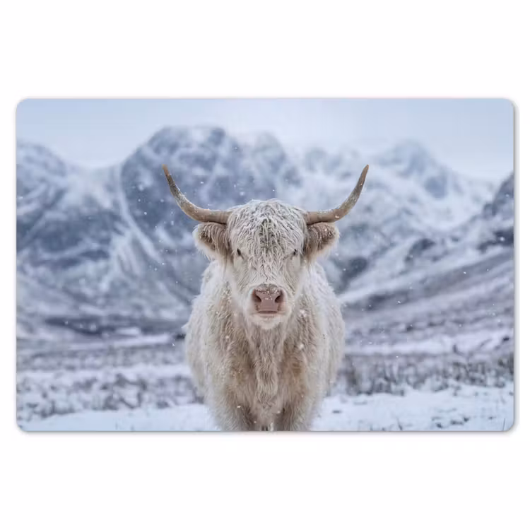 Placemat - 6 stuks - Schotse Hooglander - Sneeuw - Bergen - Winter — 7