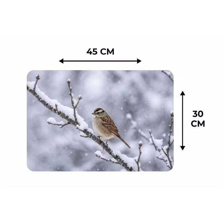 Placemat - 6 stuks - Vogel - Tak - Sneeuw - Winter — 3