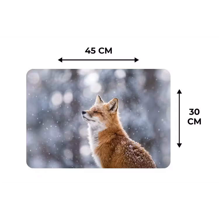 Placemat - 6 stuks - Vos - Sneeuwval - Portret - Winter - Sfeervol — 3