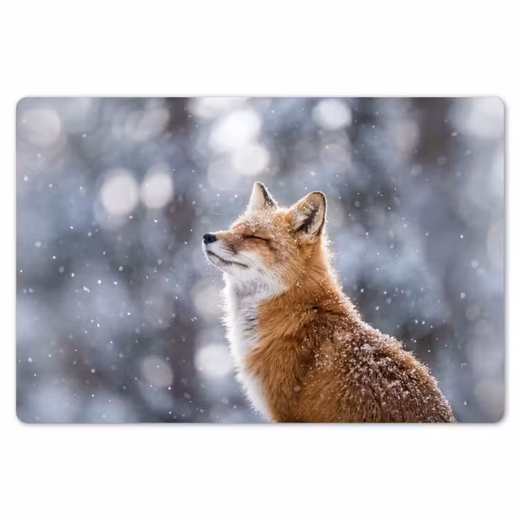 Placemat - 6 stuks - Vos - Sneeuwval - Portret - Winter - Sfeervol — 7