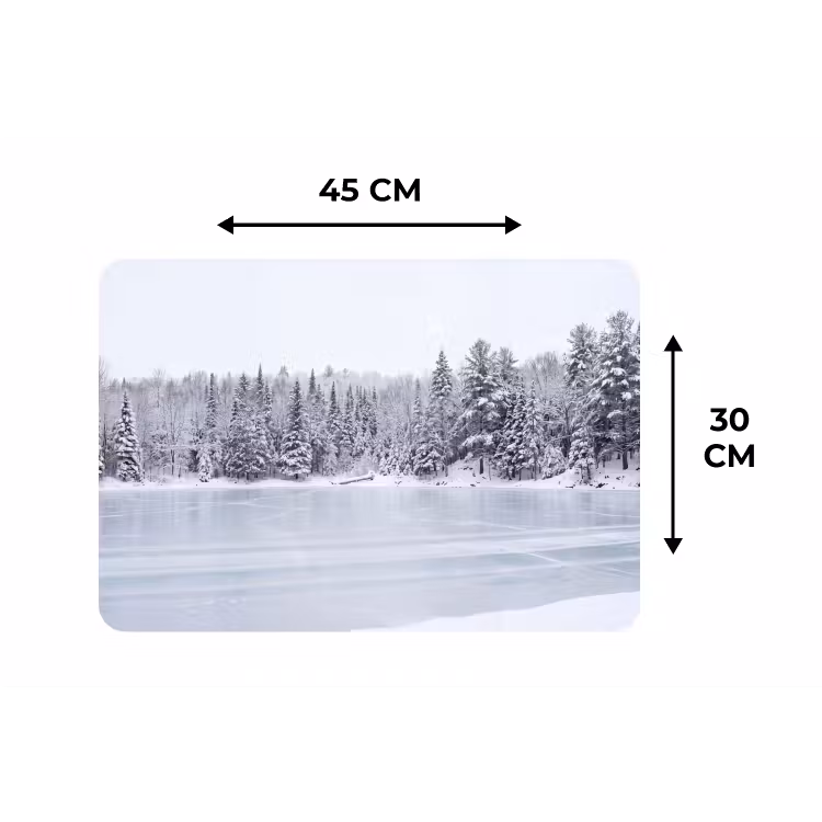 Placemat - 6 stuks - Meer - Dennen - IJs - Winter - Rustgevend — 3