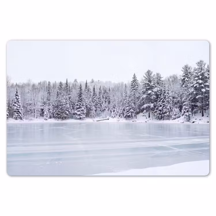 Placemat - 6 stuks - Meer - Dennen - IJs - Winter - Rustgevend — 7