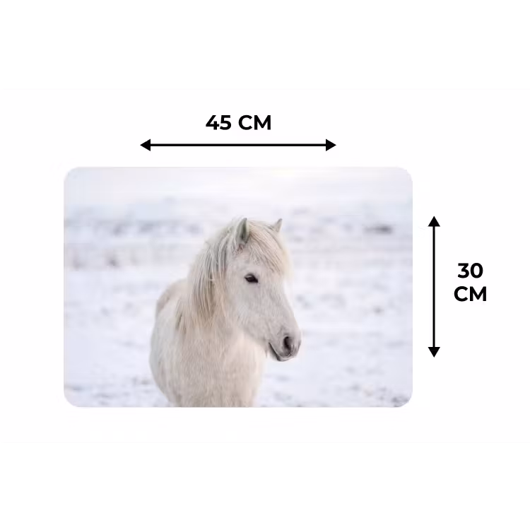 Placemat - 6 stuks - Paard - Kop - Winter - Dieren - Wit — 3