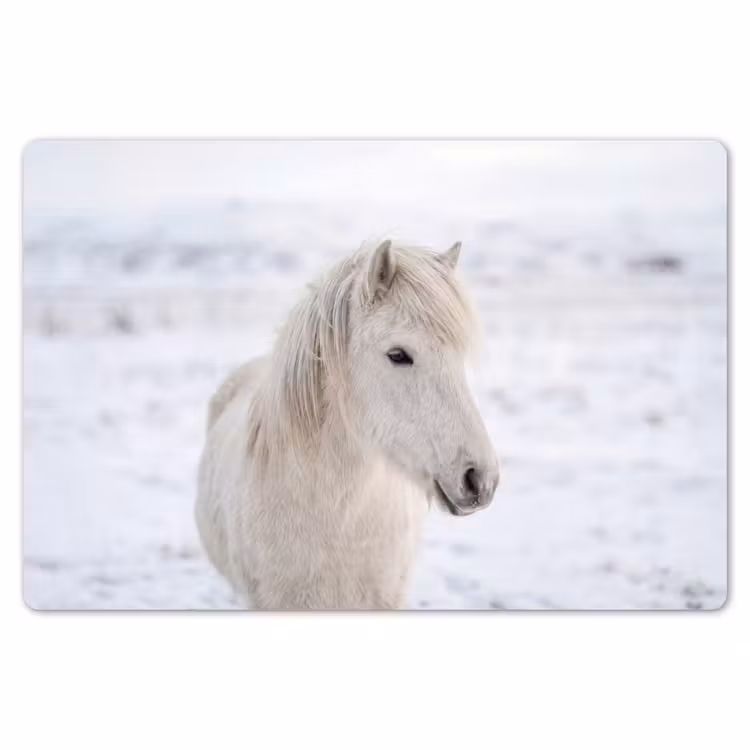 Placemat - 6 stuks - Paard - Kop - Winter - Dieren - Wit — 7