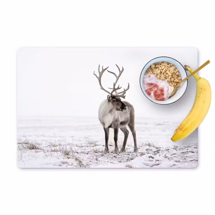 Placemat - 6 stuks - Rendier - Gewei - Sneeuw - Winter — 1