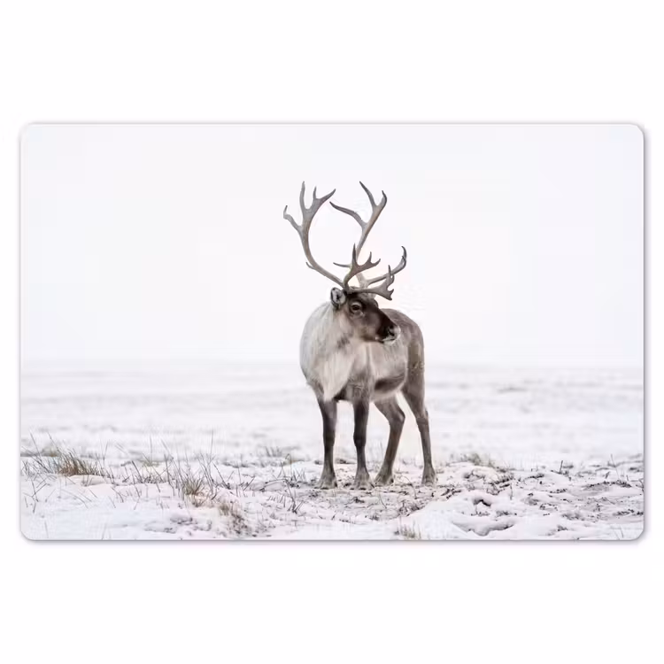 Placemat - 6 stuks - Rendier - Gewei - Sneeuw - Winter — 7