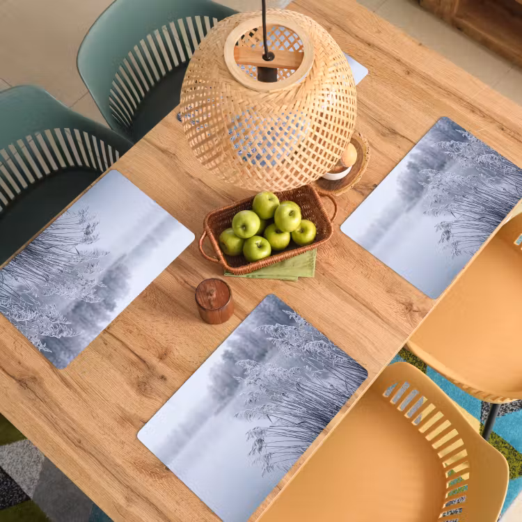 Placemat - 6 stuks - Riet - Bevroren - Winter - Natuur — 6