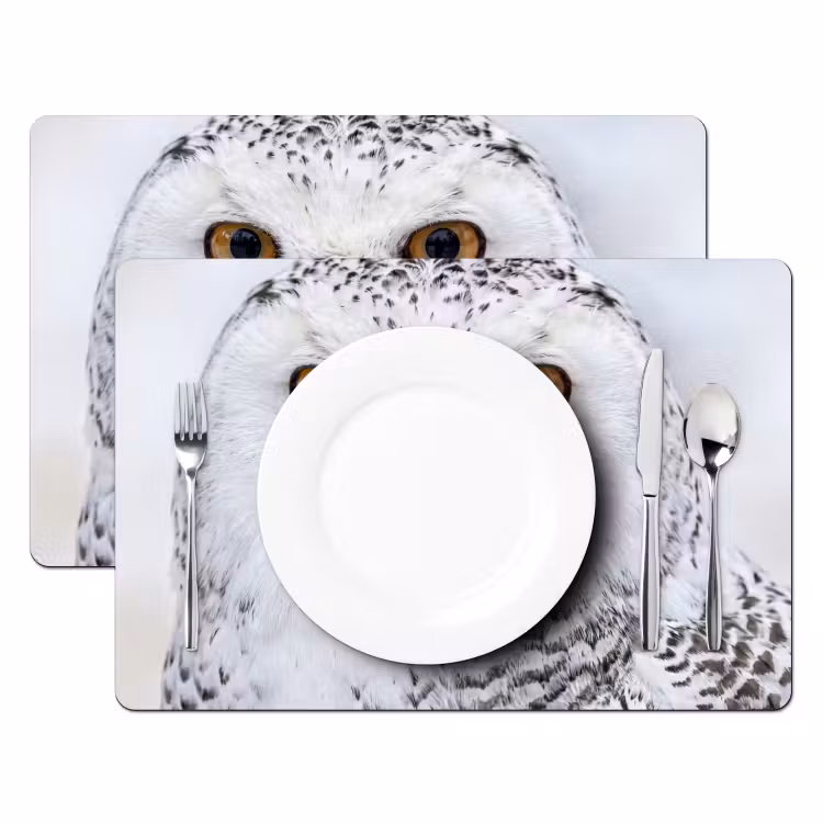 Placemat - 6 stuks - Sneeuwuil - Oog - Wildlife - Wit — 2