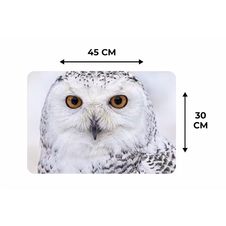 Placemat - 6 stuks - Sneeuwuil - Oog - Wildlife - Wit — 3